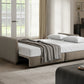 TAHOE Queen Serta sofa bed
