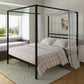 Canopy Bed