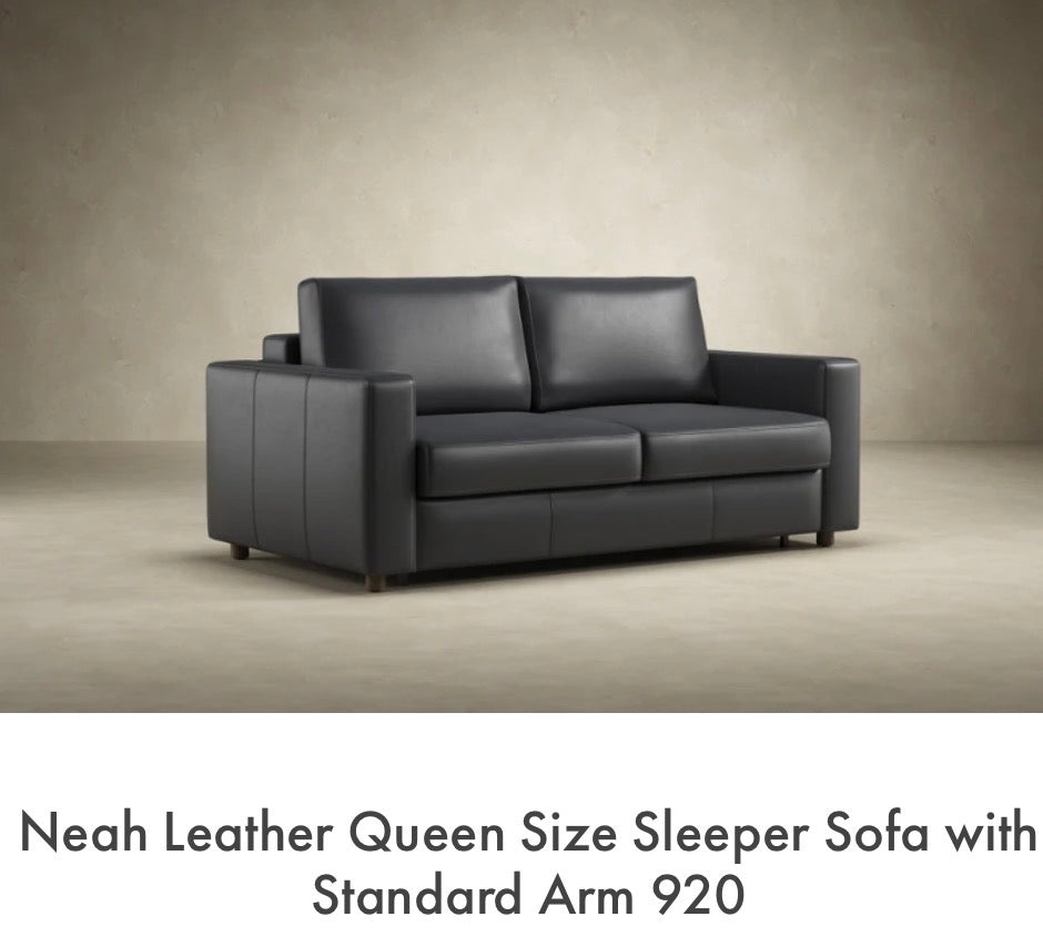 NEAH Queen Sleeper Leather