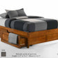 Bed -BASIC K-Tall
