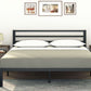 Modern Bed