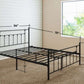 Modern Bed
